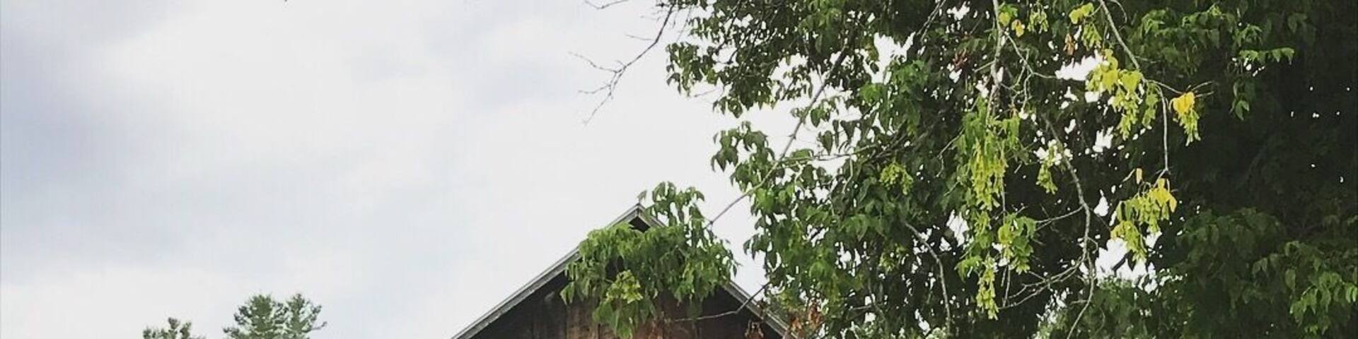 Drive through the bridge, walk through the bridge, take pictures around the bridge...
#coveredbridges
#vermont