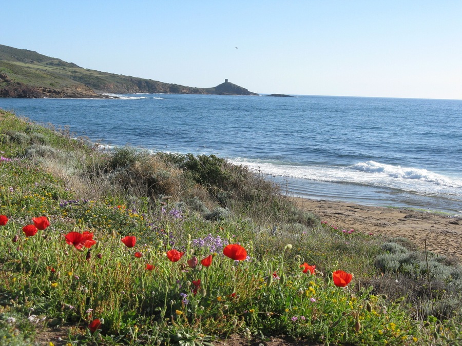porto alabe