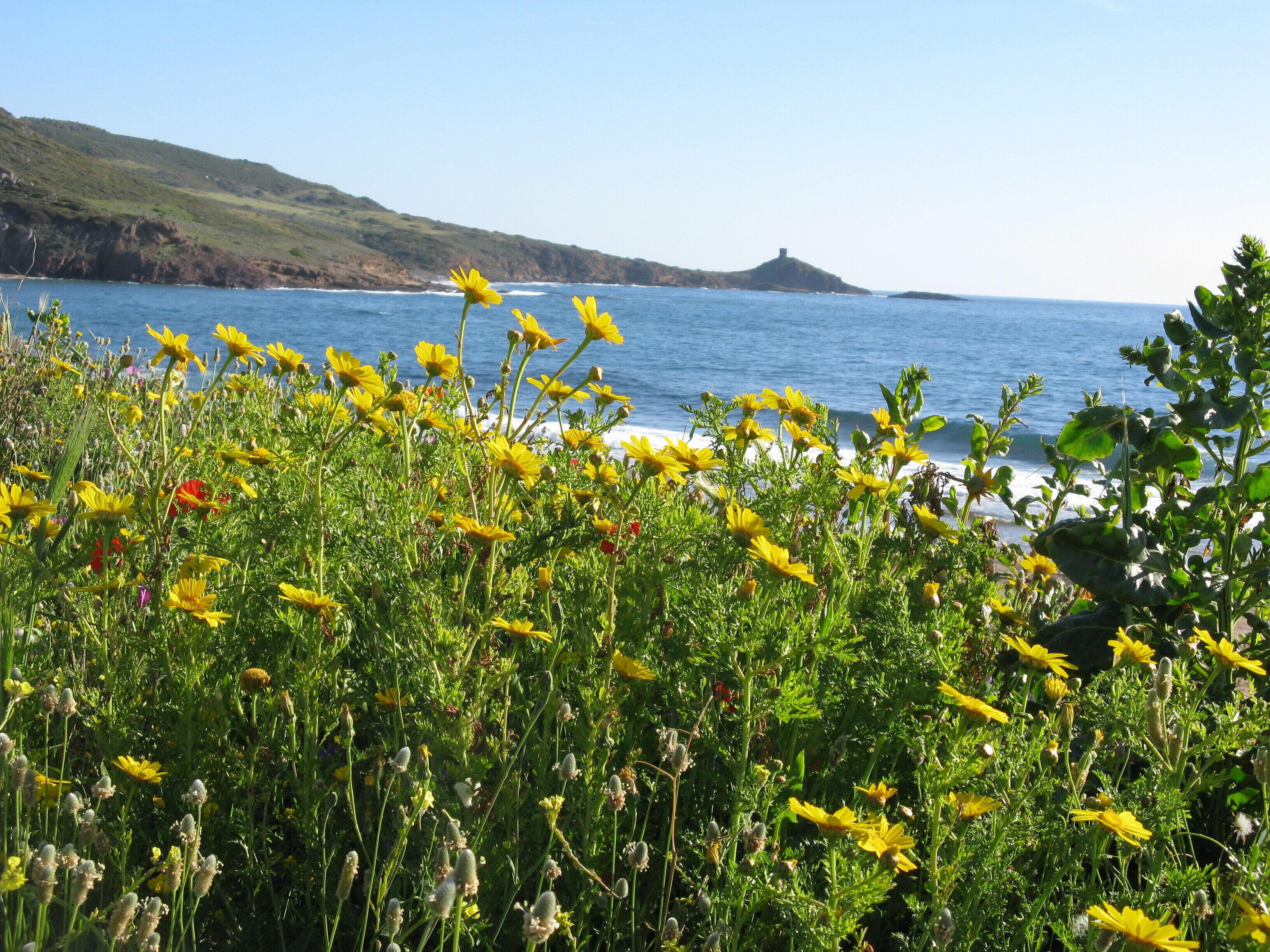 Porto Alabe (vista su Columbargia)