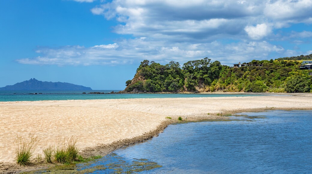Ding Bay, Langs Beach, Waipu, North Island, New Zealand, Oceania.