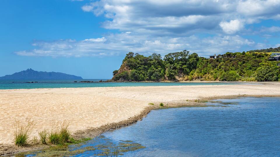 A beach with clear blue water, a sandy shore, and a forested hill with houses.