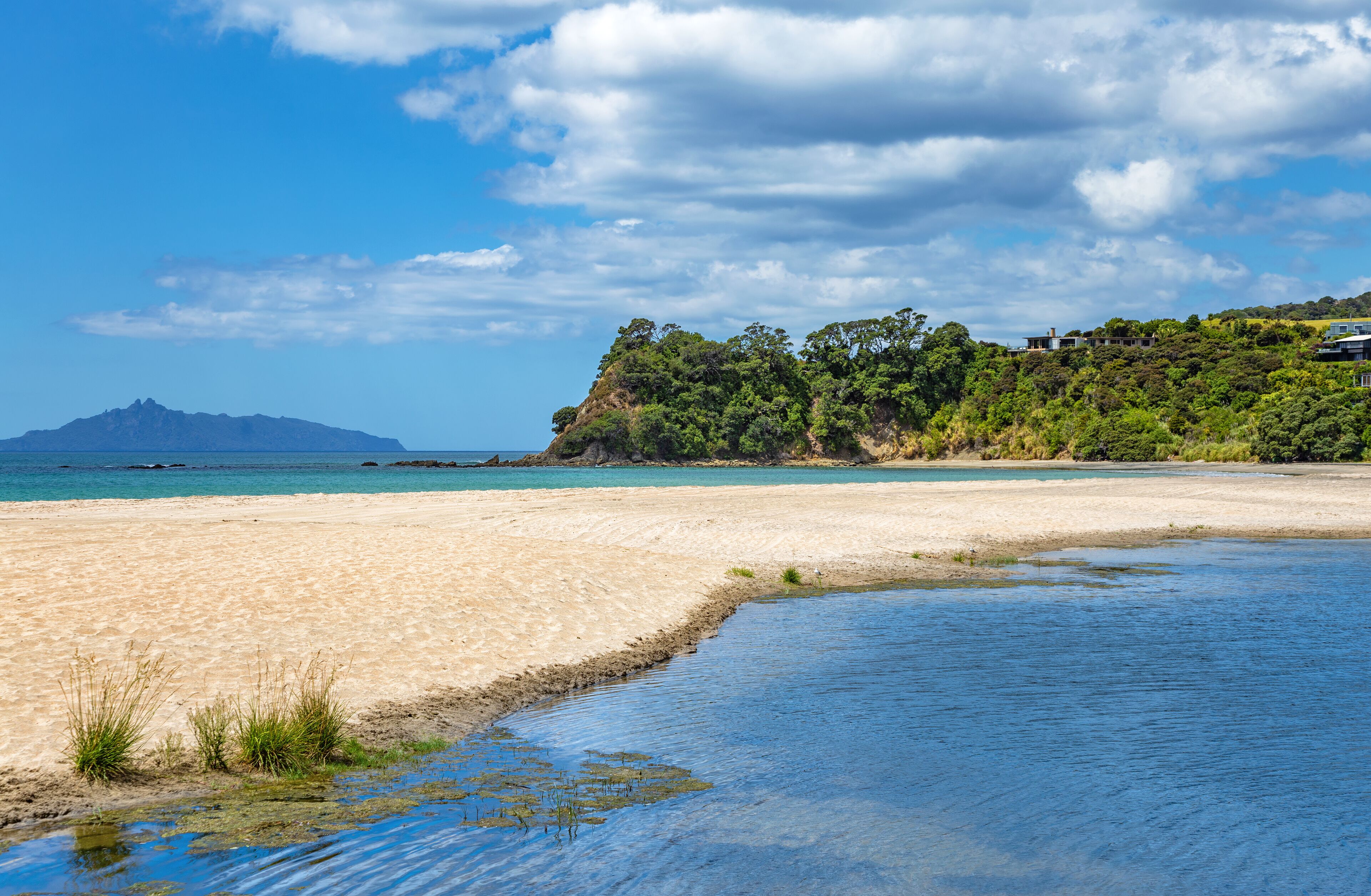 A beach with clear blue water, a sandy shore, and a forested hill with houses.