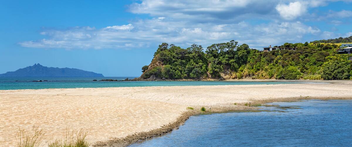 A beach with clear blue water, a sandy shore, and a forested hill with houses.