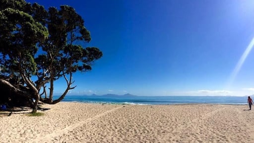 Beautiful peaceful cove at Langs Beach
#aquatrove #langsbeach #surfsup #nz
