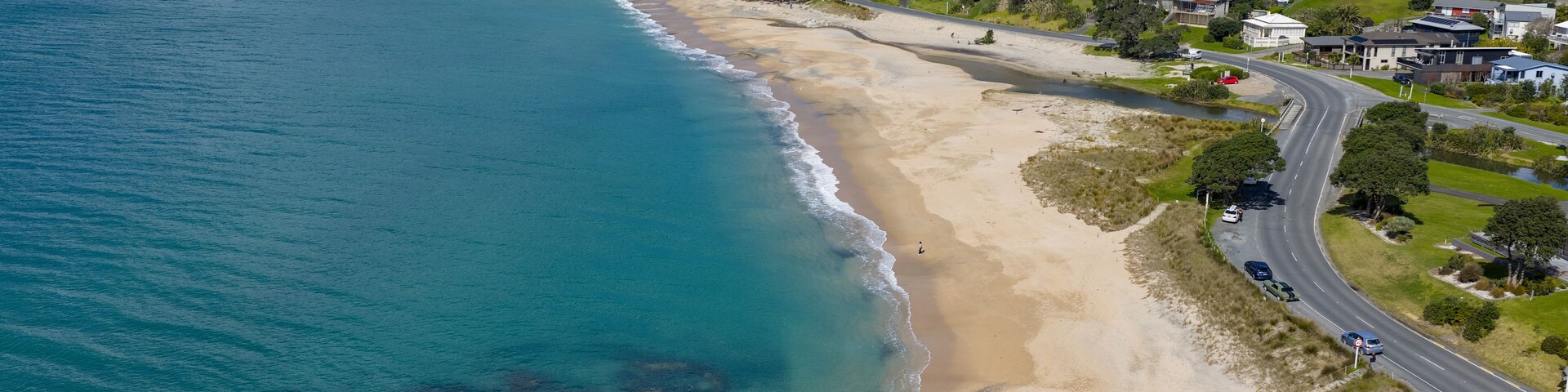 Uma vila costeira com praia, casas e estrada.