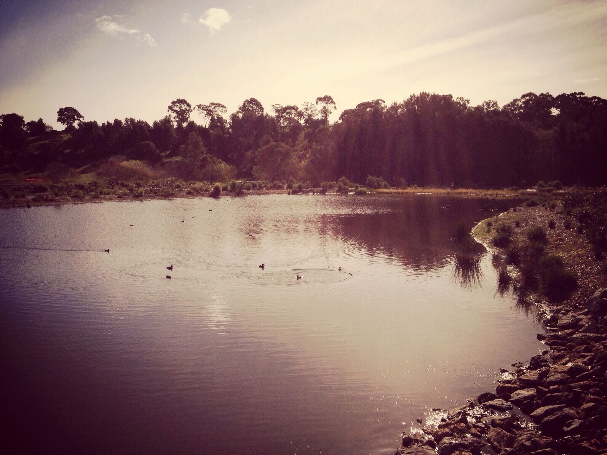 Nice place for a walk