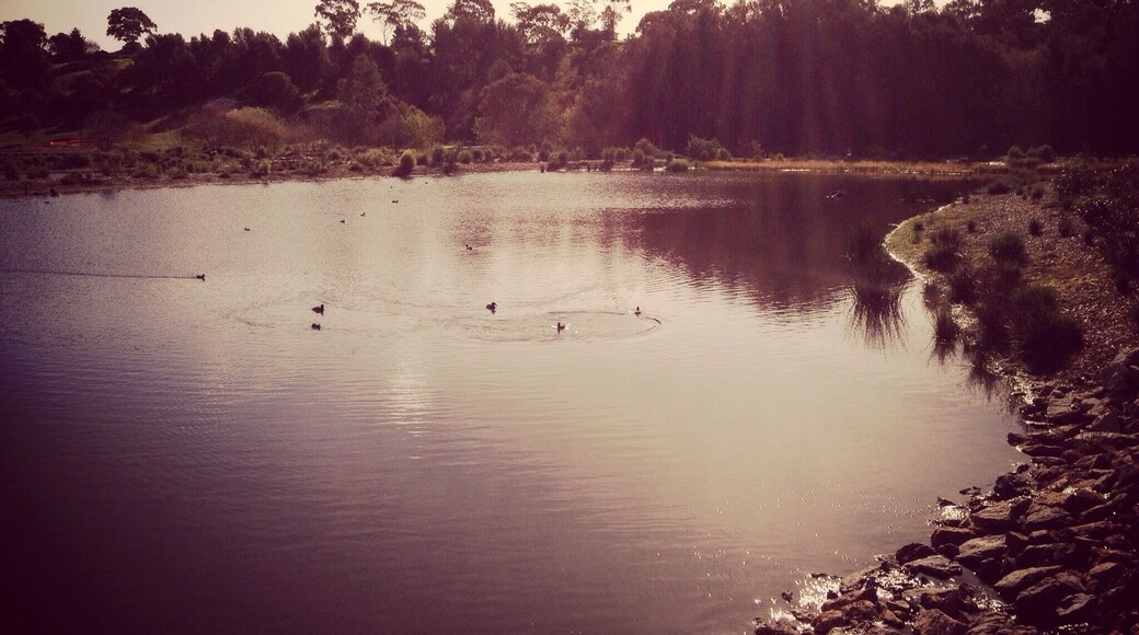 Nice place for a walk