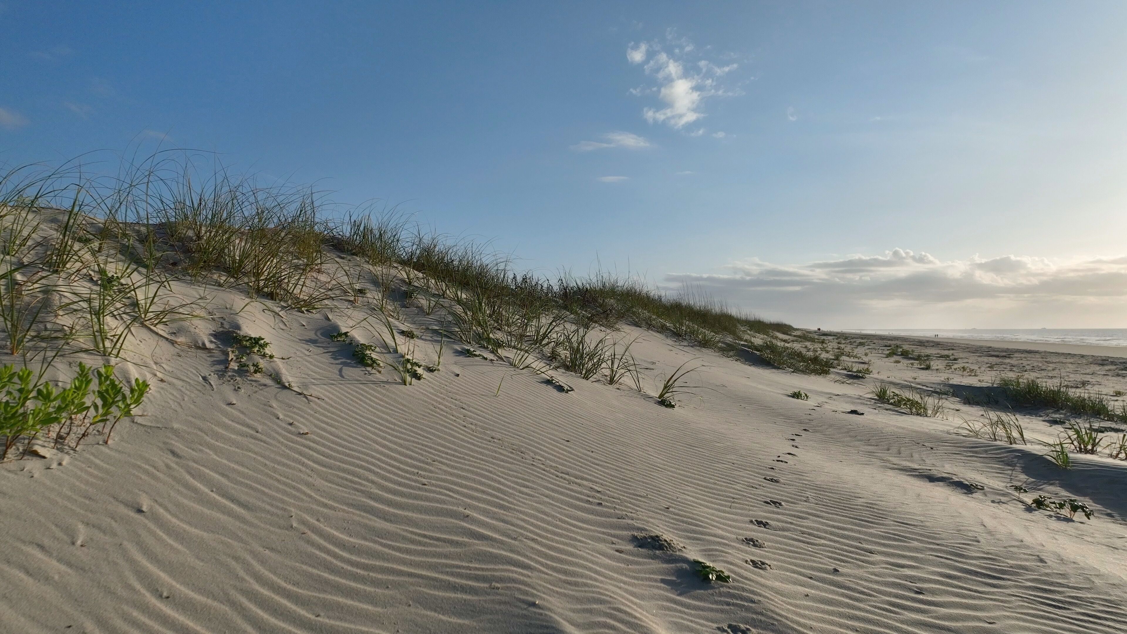 Litchfield by the Sea