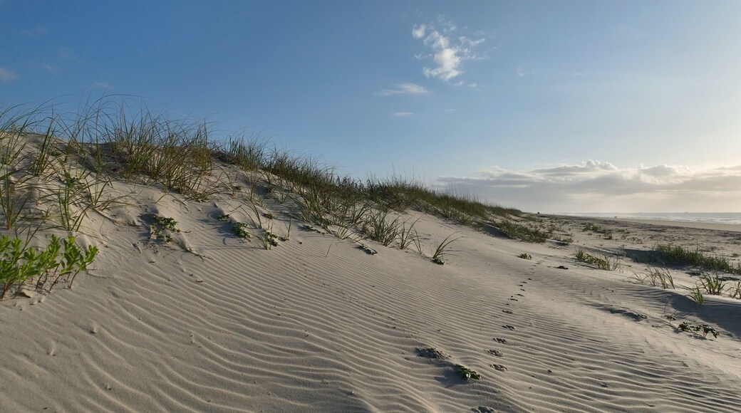 Litchfield by the Sea