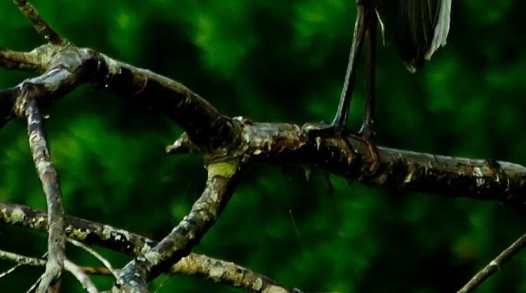 A chilly morning in Florida
#green