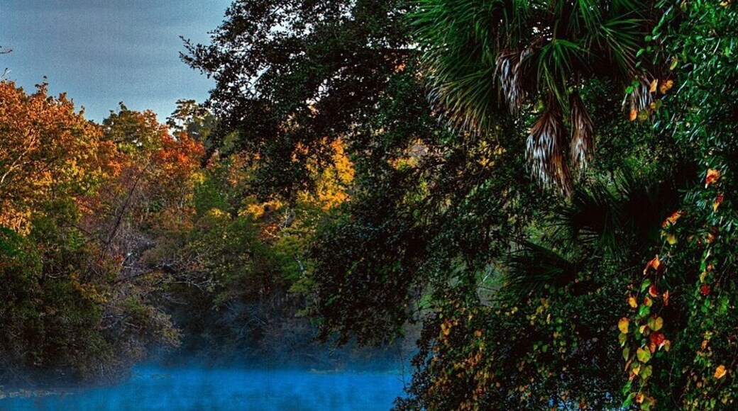 Morning at the springs #nature