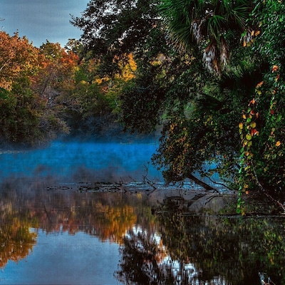 Morning at the springs #nature