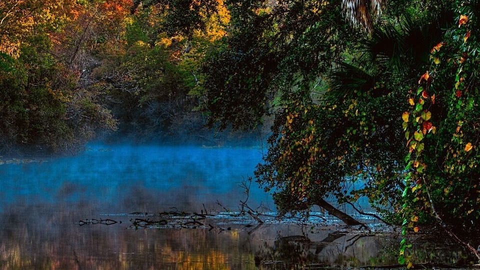 A calm lake surrounded by dense foliage with autumn-colored leaves.