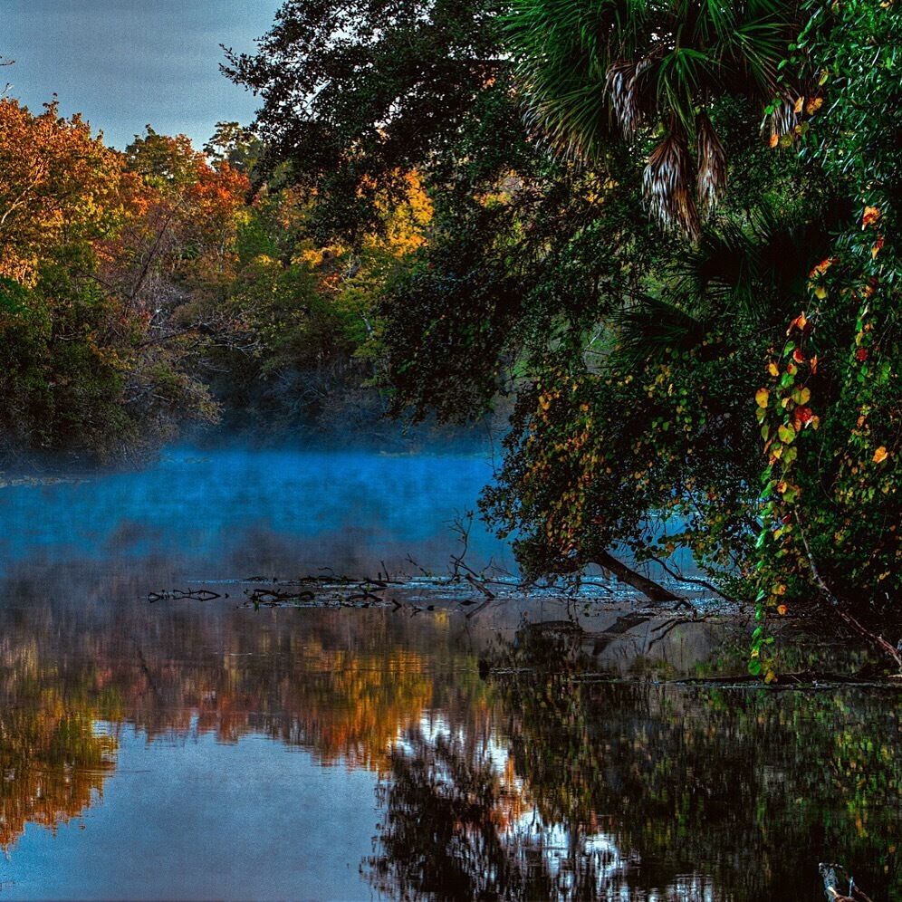 A calm lake surrounded by dense foliage with autumn-colored leaves.