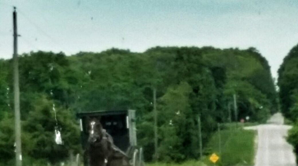 1 hour north of the hipster town of Madison is Columbia County- home to one of Wisconsin's largest Amish communities. There are amish stores (namely Mishlers Country Store on Berry Rd) and fruit stands. Additionally the countryside is some of the prettiest land I have ever seen!!