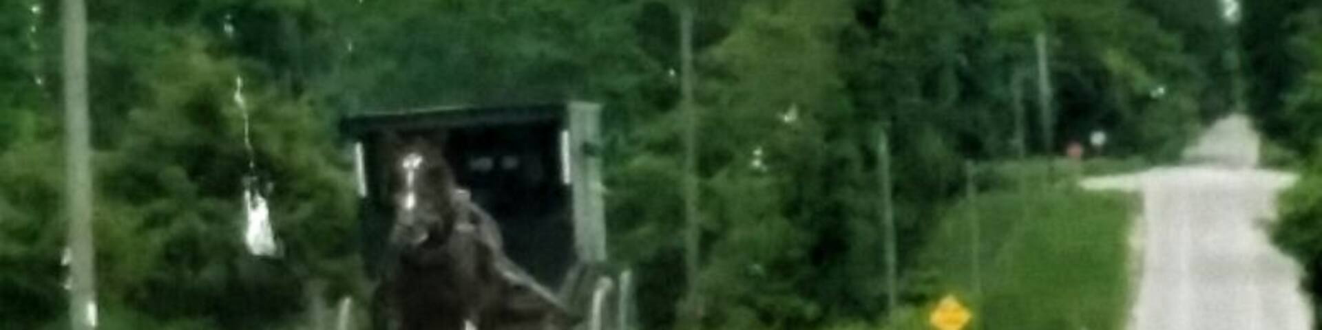 1 hour north of the hipster town of Madison is Columbia County- home to one of Wisconsin's largest Amish communities. There are amish stores (namely Mishlers Country Store on Berry Rd) and fruit stands. Additionally the countryside is some of the prettiest land I have ever seen!!