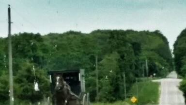 1 hour north of the hipster town of Madison is Columbia County- home to one of Wisconsin's largest Amish communities. There are amish stores (namely Mishlers Country Store on Berry Rd) and fruit stands. Additionally the countryside is some of the prettiest land I have ever seen!!
