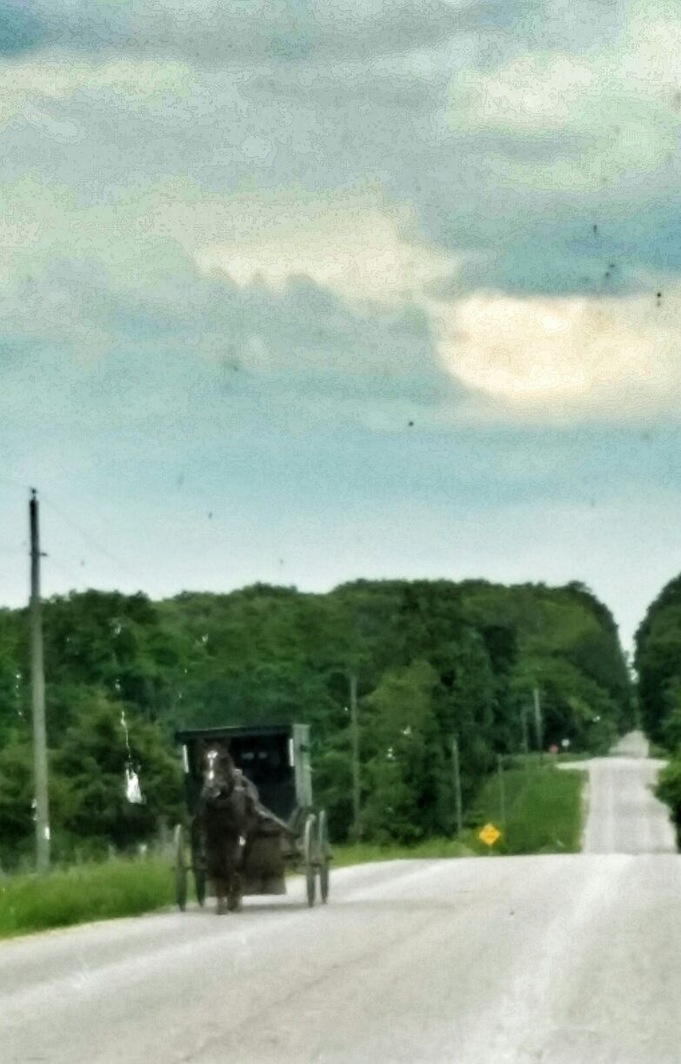 1 hour north of the hipster town of Madison is Columbia County- home to one of Wisconsin's largest Amish communities. There are amish stores (namely Mishlers Country Store on Berry Rd) and fruit stands. Additionally the countryside is some of the prettiest land I have ever seen!!
