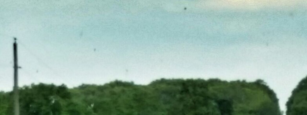 1 hour north of the hipster town of Madison is Columbia County- home to one of Wisconsin's largest Amish communities. There are amish stores (namely Mishlers Country Store on Berry Rd) and fruit stands. Additionally the countryside is some of the prettiest land I have ever seen!!