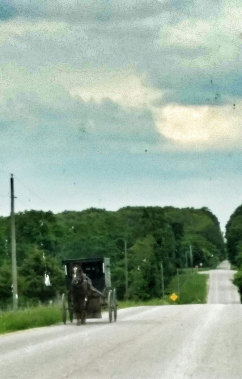 A rural road with a horse-drawn carriage and a green structure in the distance.