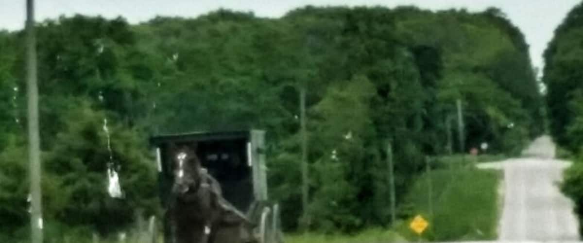 A rural road with a horse-drawn carriage and a green structure in the distance.