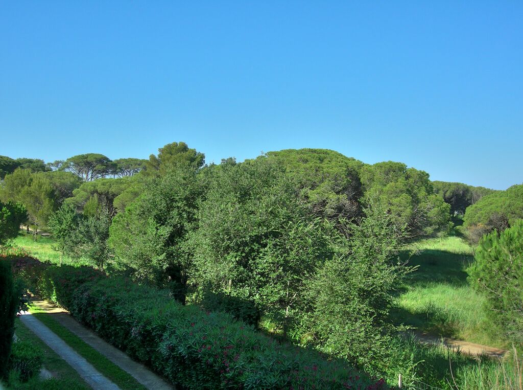 Vue depuis mon studio.