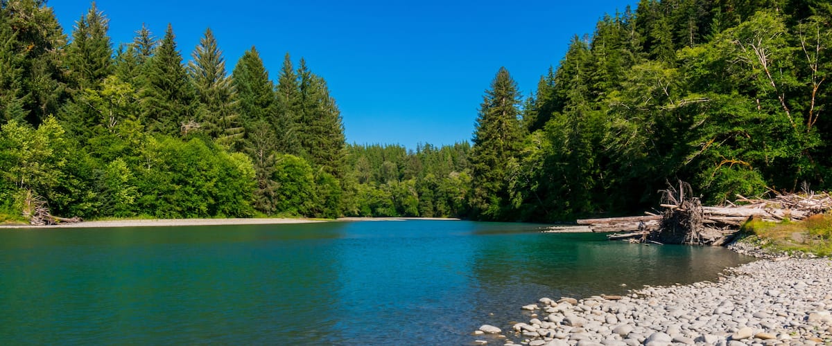 Un río transparente con orilla rocosa y un bosque denso al fondo.