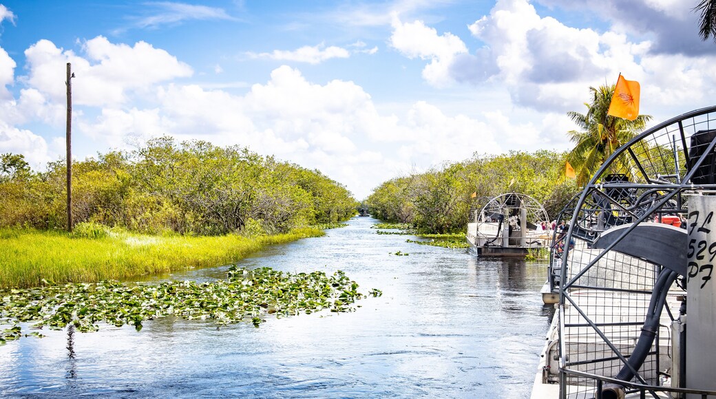 リッチモンド ハイツ