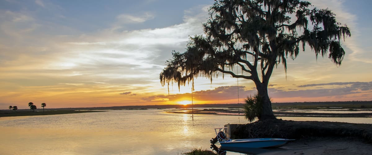 Um pôr do sol sobre águas calmas, com um barco e uma grande árvore com barba-de-espada.