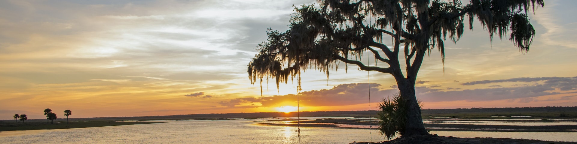 Un atardecer sobre una masa de agua tranquila con un bote y un árbol grande cubierto de líquenes españoles.