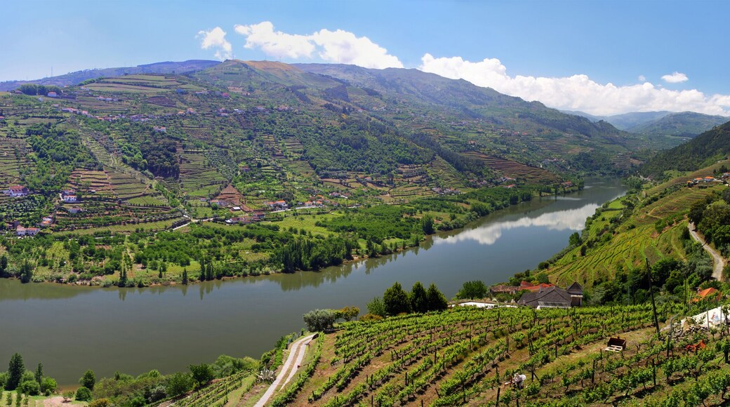 ์ ๋ฅด๋น๋