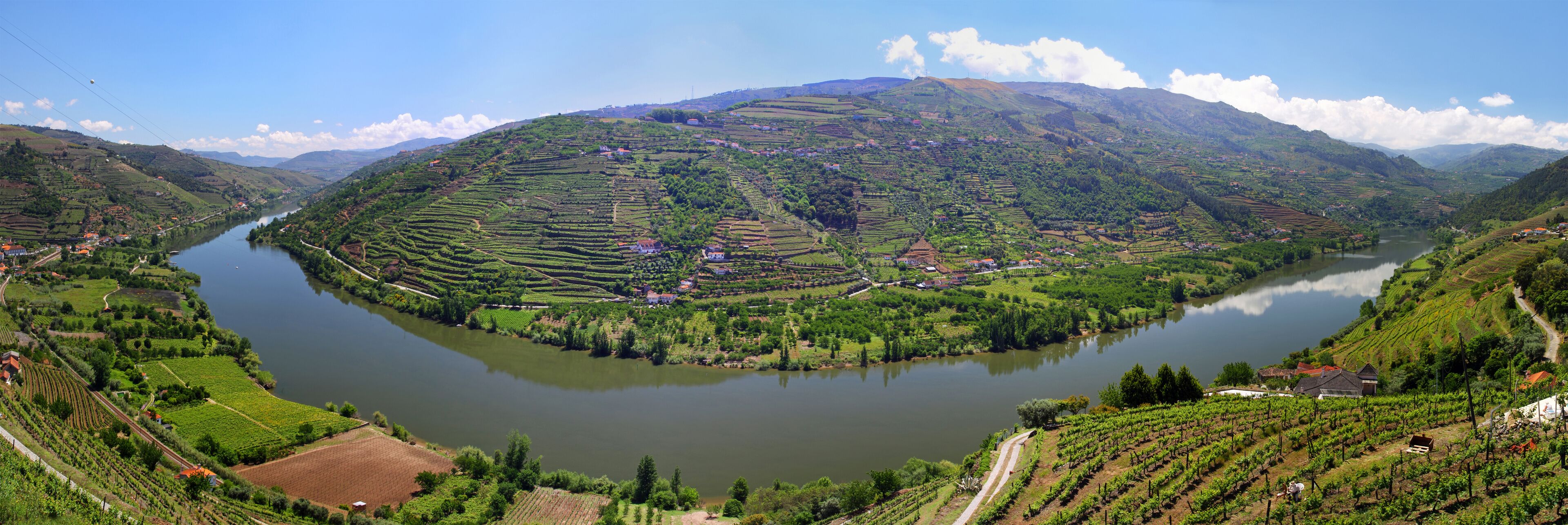 A mountainous landscape with terraced vineyards and a lake.