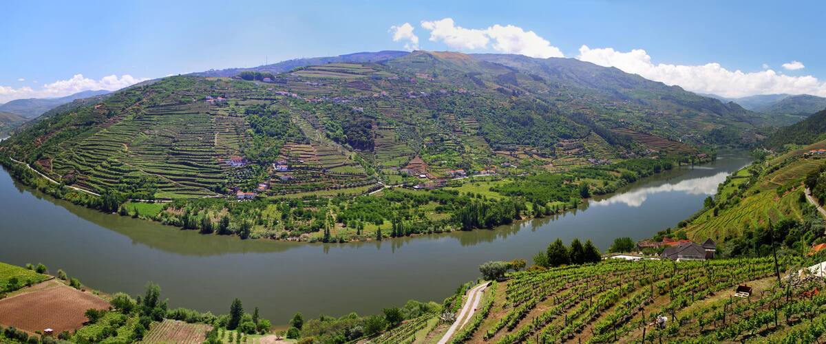 A mountainous landscape with terraced vineyards and a lake.