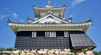 The view of Hamamatsu castle in Japan.