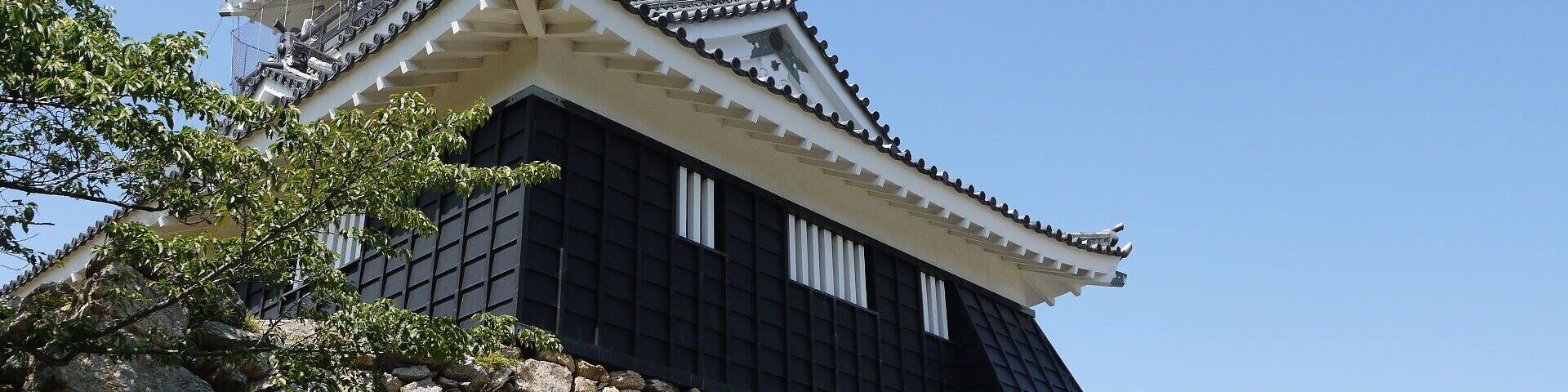 Hamamatsu Castle æ”æŸć3