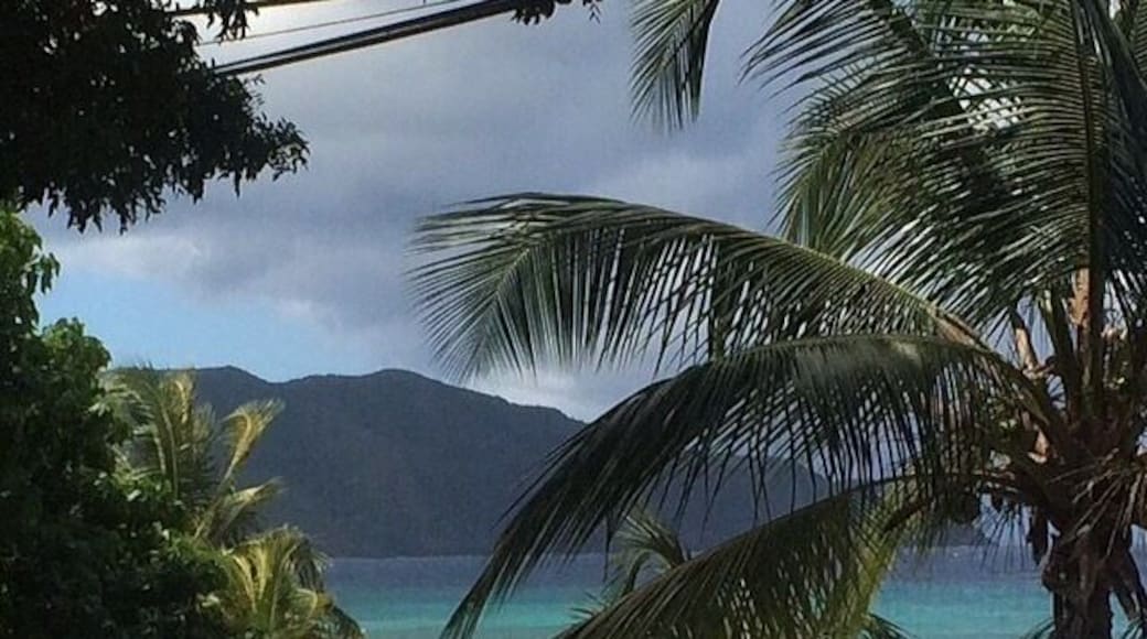 Northshore of St. Croix, taken from the porch of a delicious restaurant called eat. Famous diving spot, The Wall, located off this beach.