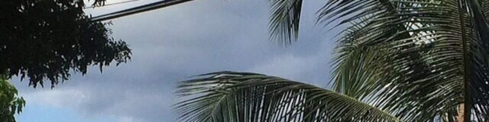 Northshore of St. Croix, taken from the porch of a delicious restaurant called eat. Famous diving spot, The Wall, located off this beach.