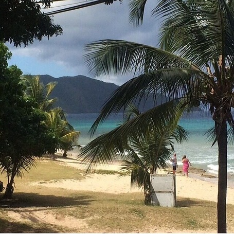 Northshore of St. Croix, taken from the porch of a delicious restaurant called eat. Famous diving spot, The Wall, located off this beach.