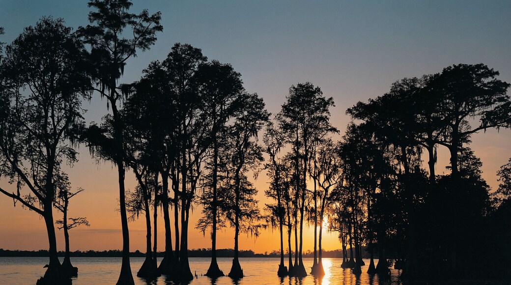 Cypress Gardens