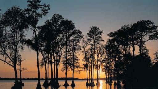 Cypress Gardens