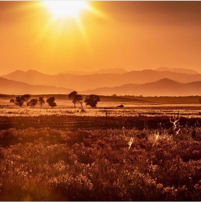 A sunset over a field with distant mountains.