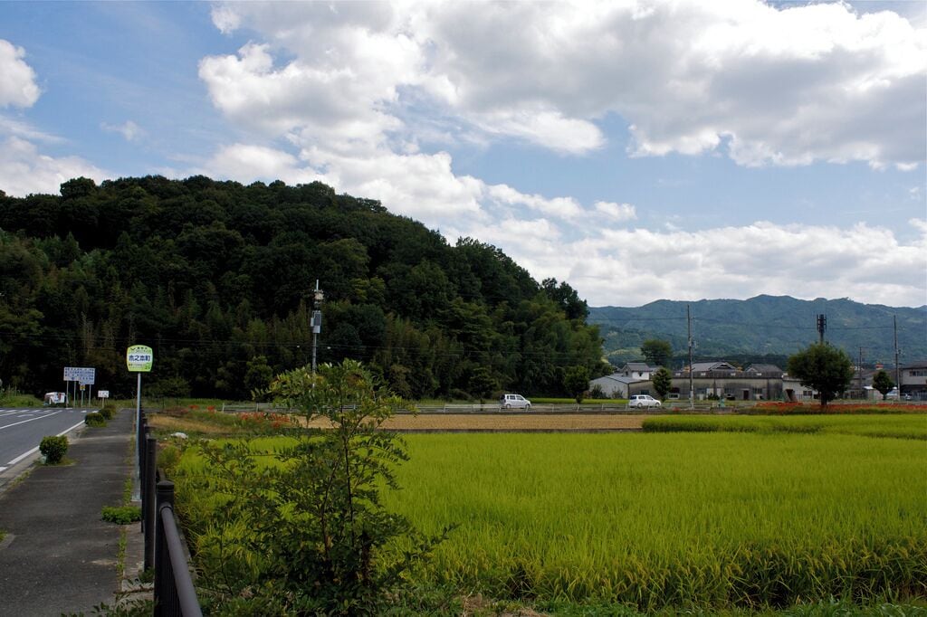 Ama no Kaguyama seen from Kinomotochō busstop, Kashihara, Nara. --->See the map.