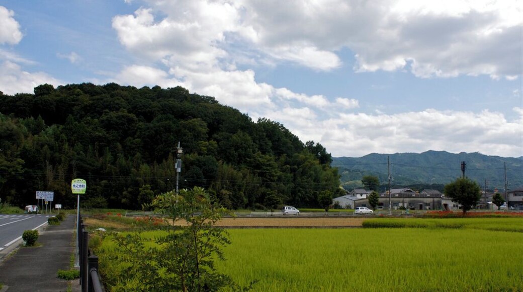 Ama no Kaguyama seen from KinomotochĆ busstop, Kashihara, Nara. --->See the map.