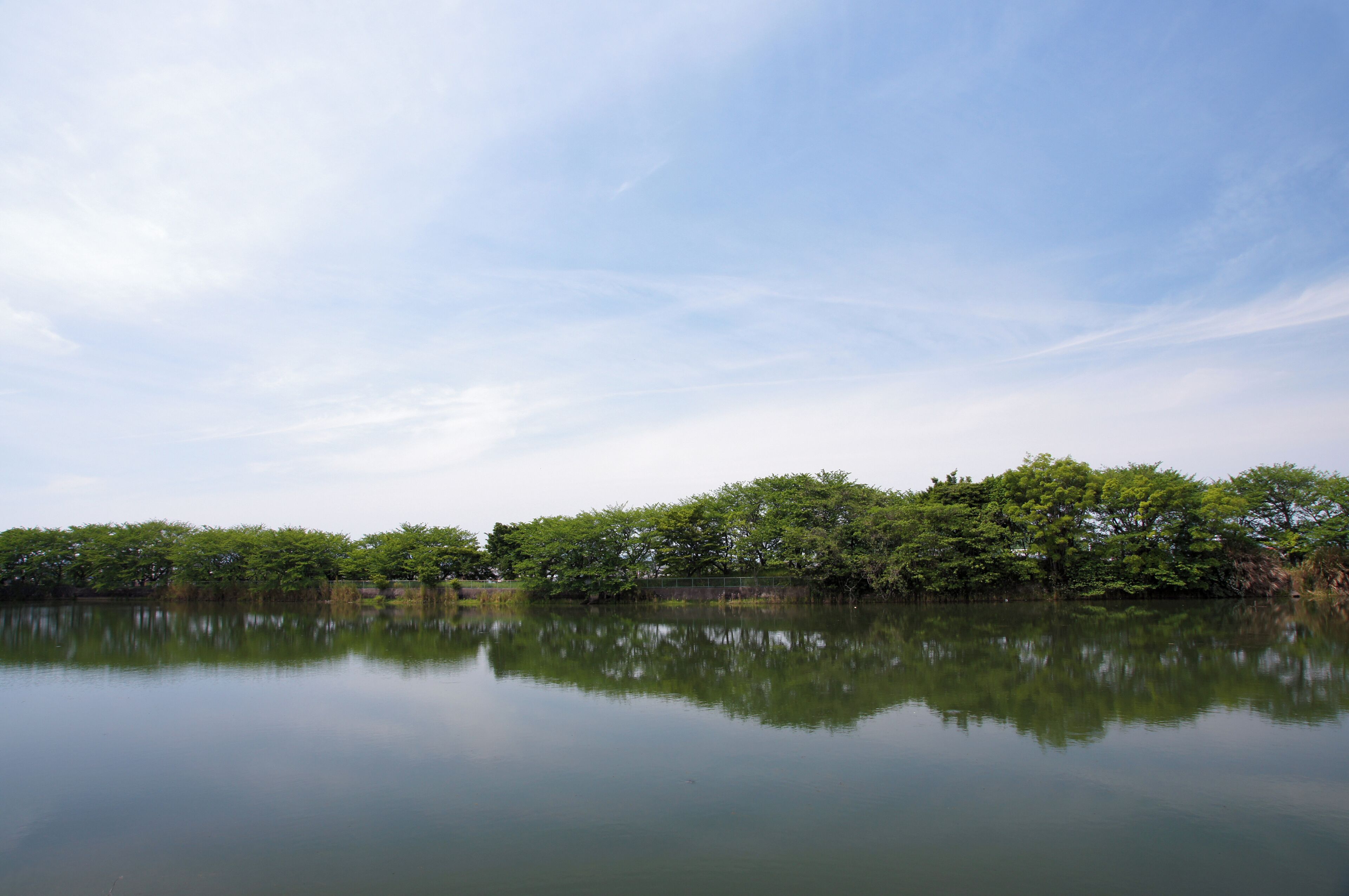 A calm lake with dense green trees reflecting in the water and a clear sky above.