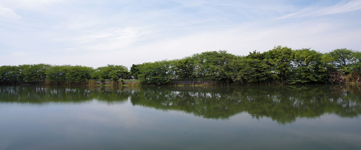 A calm lake with dense green trees reflecting in the water and a clear sky above.