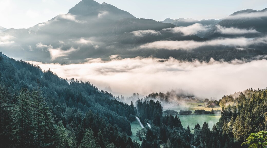 A mountainous landscape with dense forests, a valley, and a distant house.