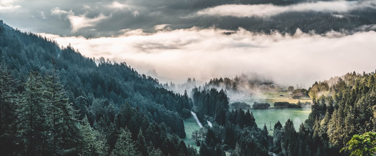Eine gebirgige Landschaft mit dichten Wäldern, einem Tal und einem Haus in der Ferne.