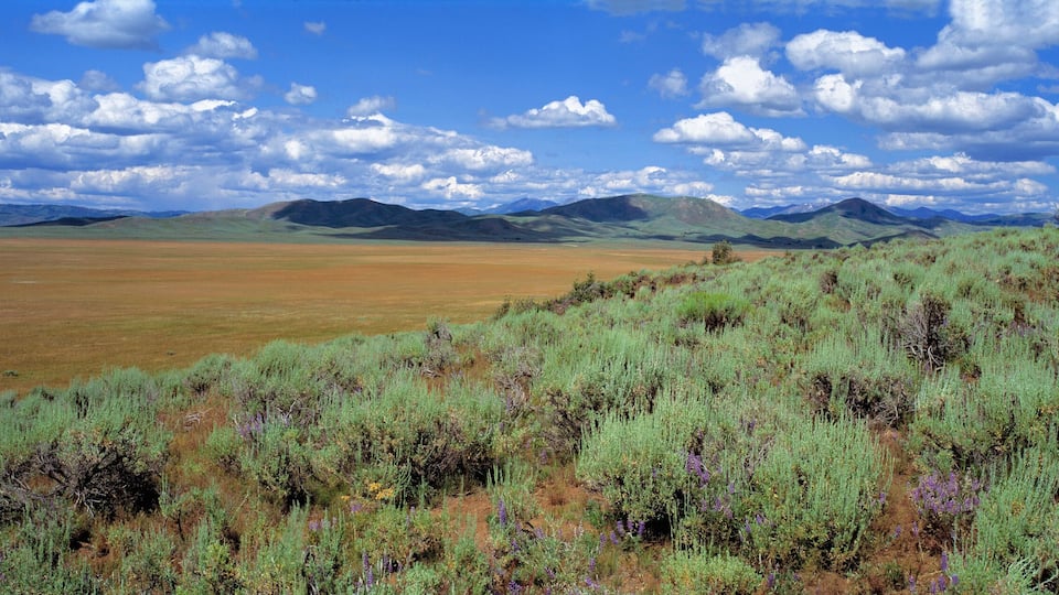 A vast open field with rolling hills and a clear blue sky with scattered clouds.