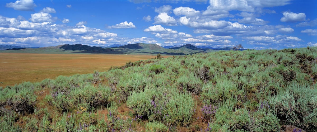 A vast open field with rolling hills and a clear blue sky with scattered clouds.