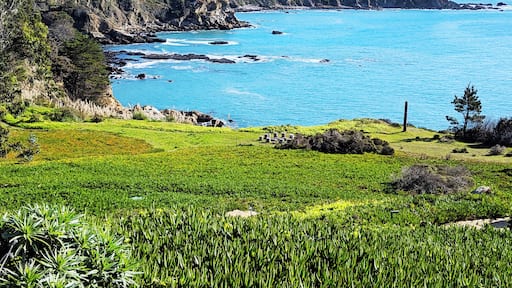 Timber Cove on California Coast in winter with green ice plant and calm blue sea